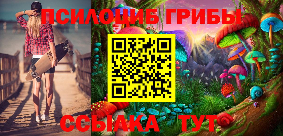 Галлюциногенные грибы прущие грибы  Псилоцибиновые грибы Cubensis  Дербент  Вход с VPN 
